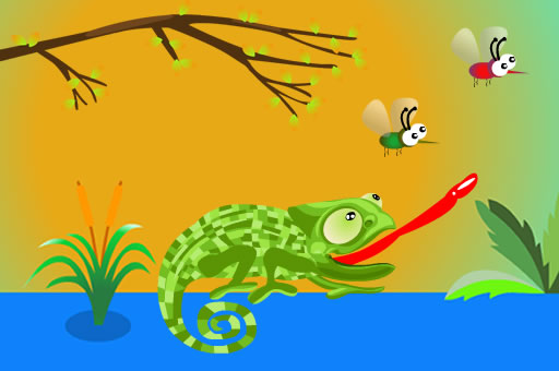 Image Hungry Chameleon