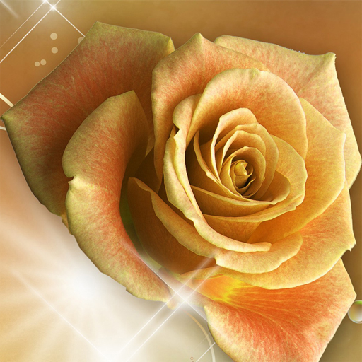 Image Yellow Roses Puzzle